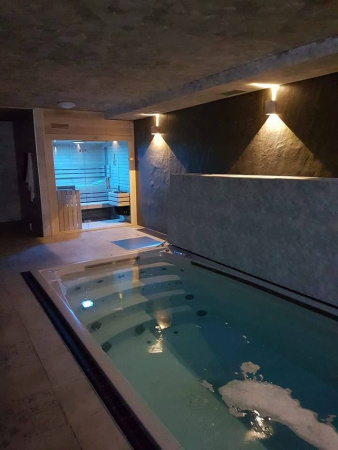 Плавательный спа бассейн USSPA Swim Spa M
